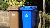 Warning over £500 fines for two common bin mistakes