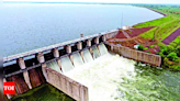 Amid rains, water starts flowing into 'dry' Manjara dam in Marathwada region | Aurangabad News - Times of India