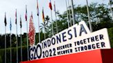 For host Indonesia, a G20 summit dogged by Russia-Ukraine rancour