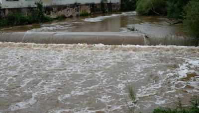 Denuncian que la "incorrecta gestión de residuos ganaderos" contamina el agua del río Ultzama