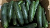 Salmonella outbreak may be linked to recalled Florida cucumbers, CDC says