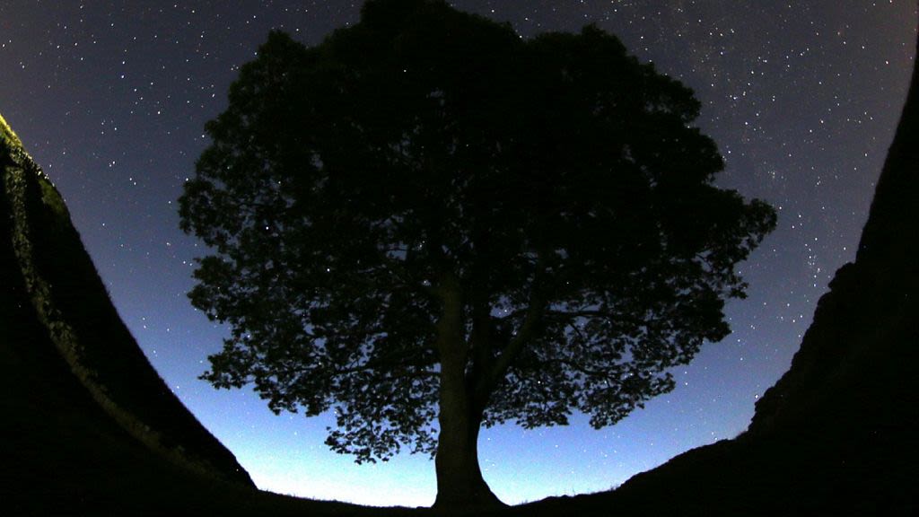 Two men charged with cutting down famous 150-year-old tree near Hadrian’s Wall