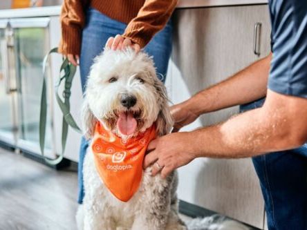 Treat your pup to a 5-star summer getaway at Dogtopia in Calgary | Curated