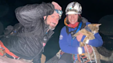 Cat's Big Adventure with Dad Winds Up with Rescue From Boulder Flatirons