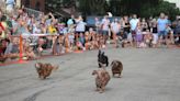 15,000 free hot dogs, wiener dog races and small town charm? That’s Hot Dog Nite in Luverne