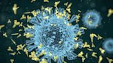 Previously Unknown Rogue Immune Key to Chronic Viral Infections Discovered