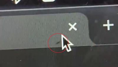 Video of ant crawling inside laptop screen goes viral: ‘There’s no way to get it out’