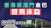 【巴士蝨蟲】香港至澳門金巴發現床蝨 事主：脫鞋發現超過10隻走出來