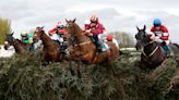 By pandering to RSPCA, Grand National risks no longer being a lottery – and losing its appeal