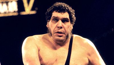 Larry Zbyszko Recalls Andre The Giant Getting Revenge For Ribbing Him - Wrestling Inc.