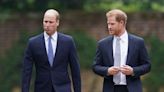 Harry ‘left terrified by screaming William’ in bombshell Netflix claims