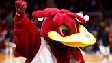 I've had secret life as South Carolina's Cocky mascot for past year