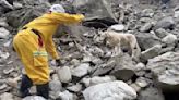 Dog Who Failed Police Academy Becomes A Star In Taiwan Earthquake Response