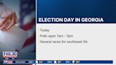 Georgia primary runoffs: What to know before you go