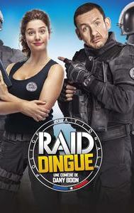 Raid dingue