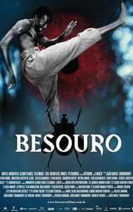 Besouro