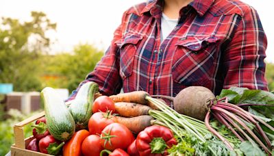 Alimentation bio : selon UFC-Que-Choisir, Lidl serait l'enseigne à privilégier pour acheter moins cher