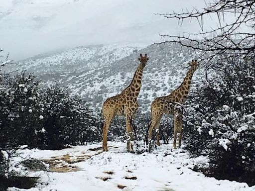 El Sudáfrica ocurre un hecho metereológico inusual