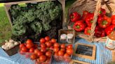 Eight farmers markets are running in Door County this summer. Here's what you need to know