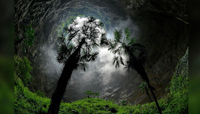 China's 'heavenly pits': The giant sinkholes that have ancient forests growing within