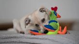 Silent Squeaker Dog Toy: What Is It & Where To Buy