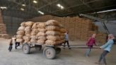 India extends free food programme ahead of state elections