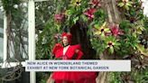 Alice in Wonderland themed exhibit coming to New York Botanical Garden