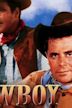 Cowboy (1958 film)