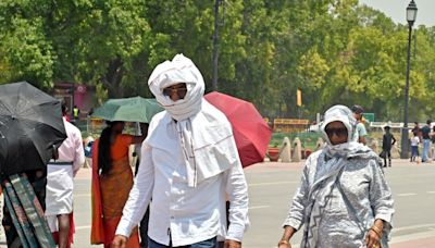 Delhi Heat: 13 Deaths In 1 Hospital, NGO Claims 192 Dead Since June 11