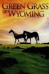 Los verdes pastos de Wyoming