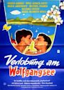Engagement at Wolfgangsee