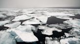 Arctic could see ‘ice-free’ days in next few years, study warns