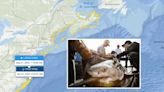 9-Foot Shark Pings Off Virginia Coast To Kick Off Memorial Day