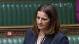 Health chiefs voice fears over MP’s move to cut abortion limit