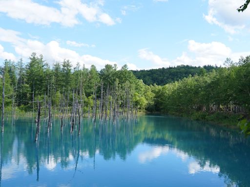 北海道美瑛必訪景點直擊！夢幻絕景「青池」、四季彩之丘賞五彩花田 | 蕃新聞