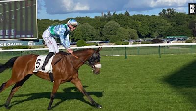 Sans rien connaître aux paris hippiques, j'ai découvert les coulisses de l'Hippodrome ParisLongchamp et tenté gagner le gros lot (ça s'est mal terminé, mais j'ai adoré)