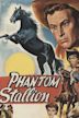 The Phantom Stallion