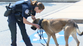 Police department announces first female K-9 officer