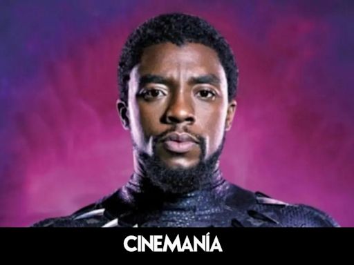 Marvel no quiso reemplazar a Chadwick Boseman como Black Panther porque "era demasiado pronto"