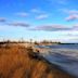 Illinois Beach State Park