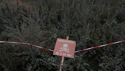 Landmines cost Ukraine $11 billion in GDP each year, says report