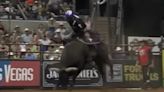 Bull Rider Makes Amends With Bull That Broke His Neck & Ended His Career