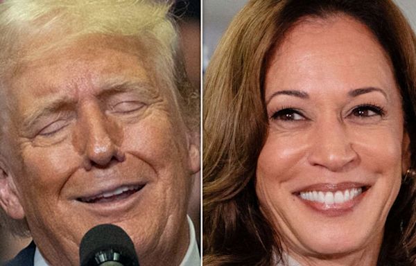 Trump's 4-Word Attack On Kamala Harris Gets Turned Back At Him In Most Humiliating Way