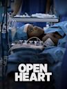 Open Heart (film)