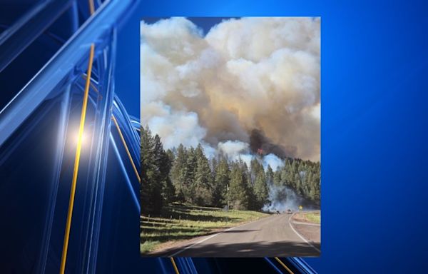 Wildfire burning near Cloudcroft, forces some evacuations