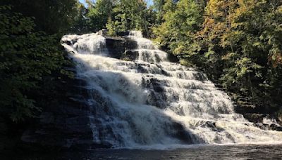 US: Indian Student Tragically Drowns At Barberville Falls In New York