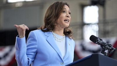 Why Democrats are quickly rallying around Harris