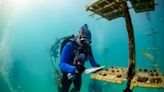 ¿Pueden los corales de la Florida sobrevivir al cambio climático? El destino de un pequeño arrecife puede dar la respuesta