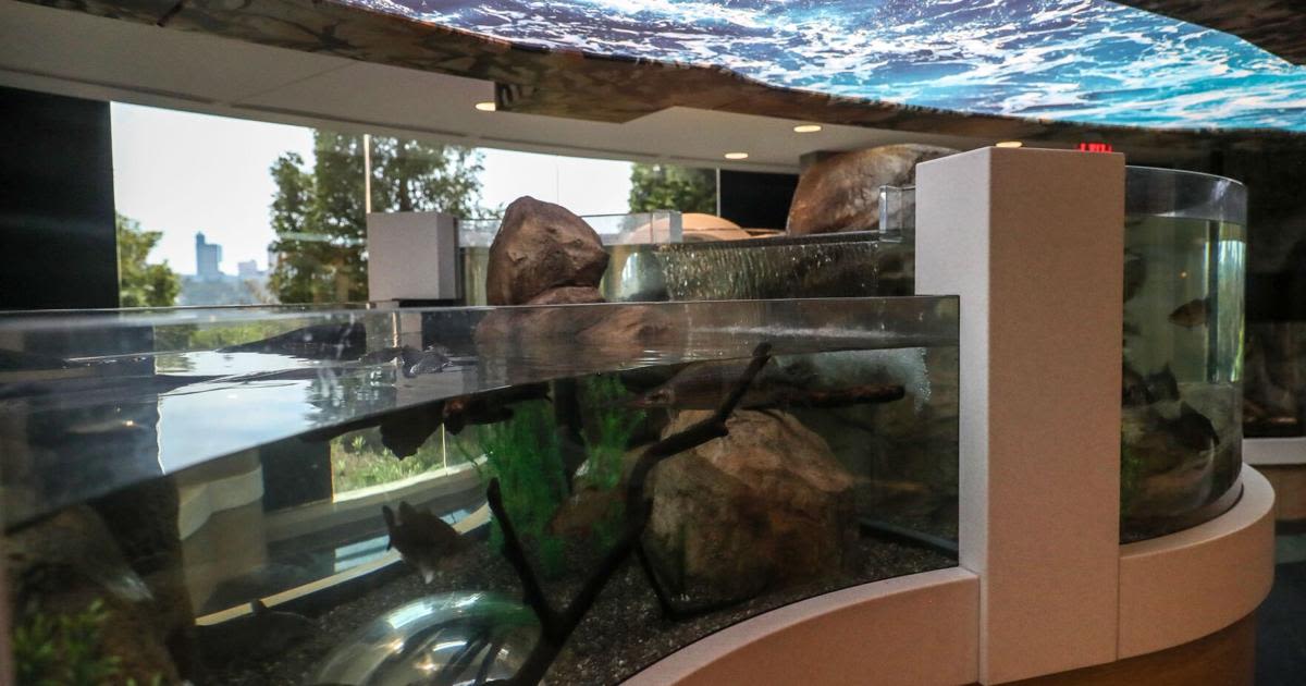'It's a pretty exciting time': Great Lakes 360 exhibit opens at Aquarium of Niagara