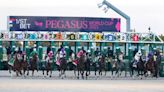 New Jersey has a longshot horse in today's $3 million Pegasus World Cup thoroughbred race